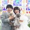 A Day Full of Love